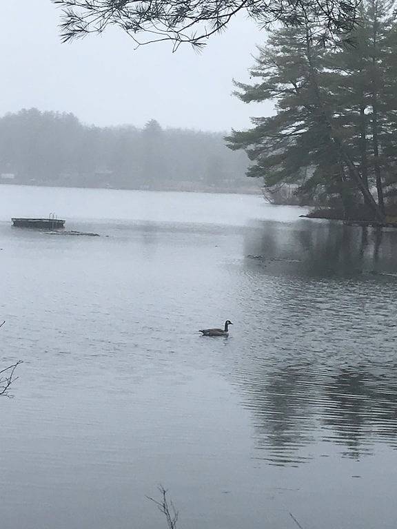 Atemberaubende Lake Front Home in Sullivan County