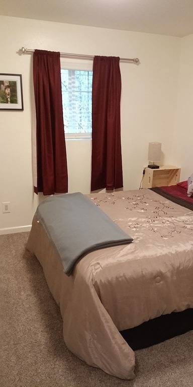 Die Bristol Bay-Hütte ist der perfekte Rückzugsort zu den ruhigen Alaska-Wäldern! in Kenai Fjords Nationalpark