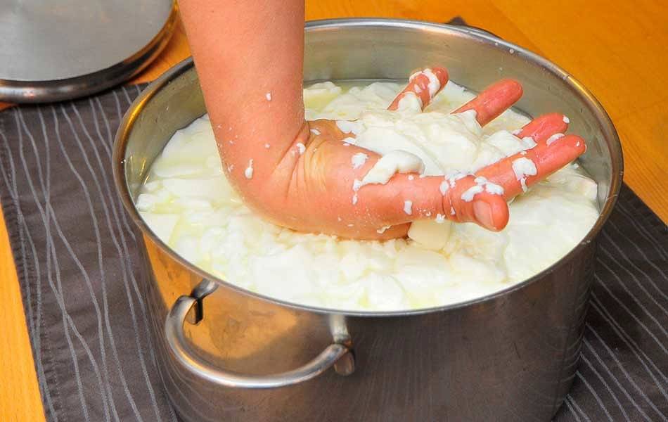 Erlebnis-Käse-Wohlfühl-Hof - Ferienwohnung Kornkammer mit hohem Deckengewölbe in Romantische Straße