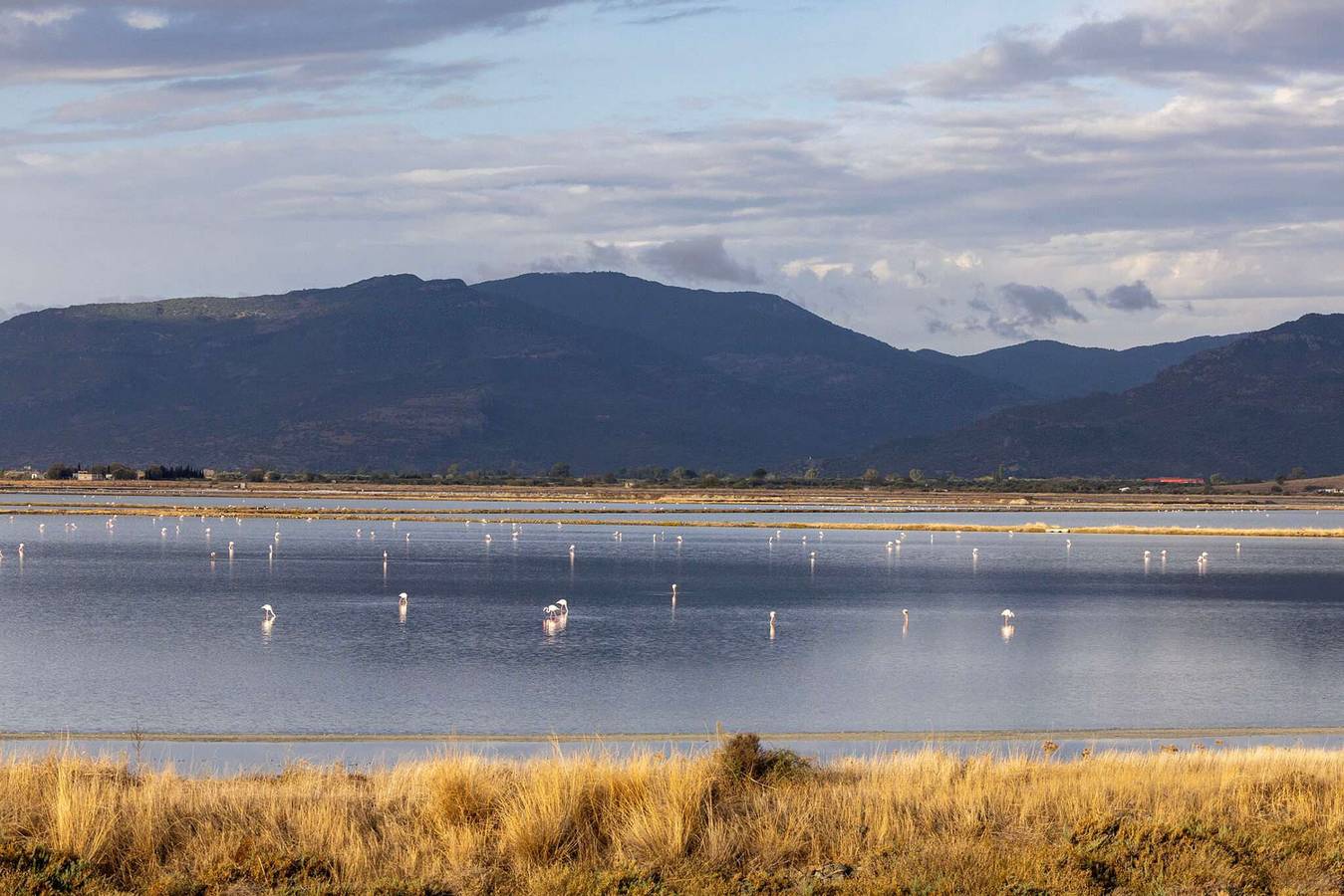 Geheel appartement, Loucas Home Kalloni Lesvos Central Stay w Balcony in Lesbos