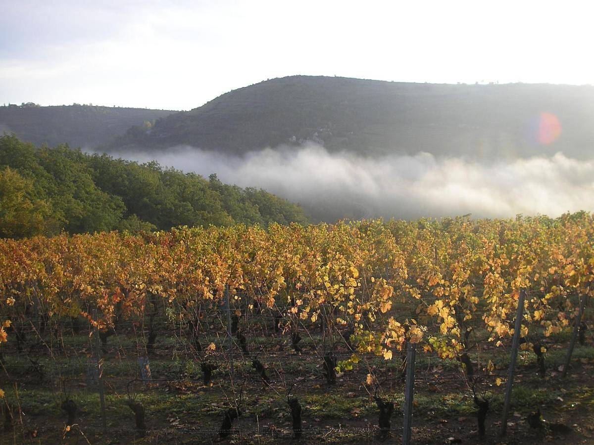 Grange rénovée en pleine nature in Goutrens, Aveyron