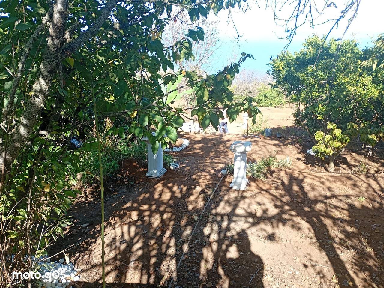 "El pajal House Relax" in Santa Úrsula, Tenerife Norte