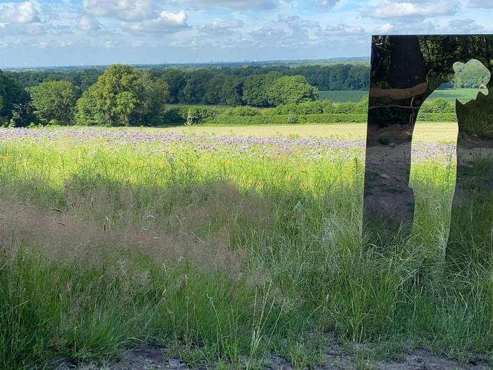 Ferienwohnung für 5 Personen, kinderfreundlich in Worpswede - 3