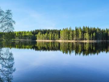 Chalet für 4 Personen in Ostfinnland, Bild 4