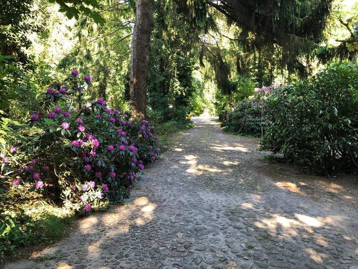 Ferienhaus für 4 Personen, mit Garten und Terrasse in Serengeti Park (Hodenhagen) - 2