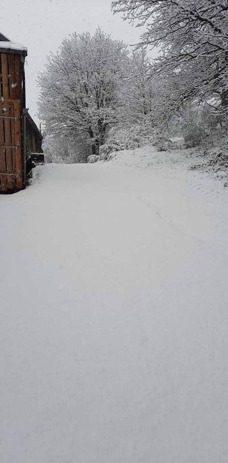 Location de vacances pour 4 personnes, avec vue et jardin à Vresse-sur-Semois - 4