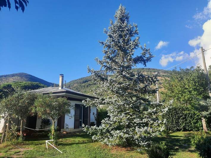 Location de vacances pour 4 personnes, avec vue et jardin, animaux acceptés à Sezze - 2