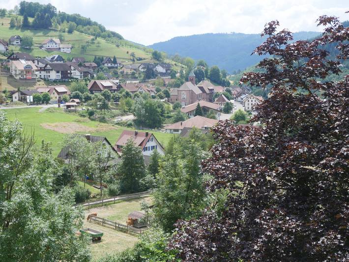 Ferienwohnung für 5 Personen, mit Balkon/Terrasse und Balkon sowie Terrasse und Garten in Nationalpark Schwarzwald - 2