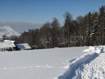 Hütte für 3 Personen in Hausruckviertel, Mondsee & Irrsee, Bild 4