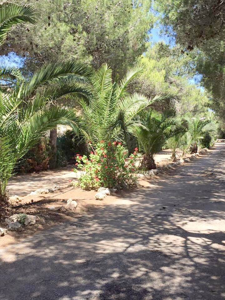 Camping Cala dei Ginepri in Costa Merlata, Ostuni