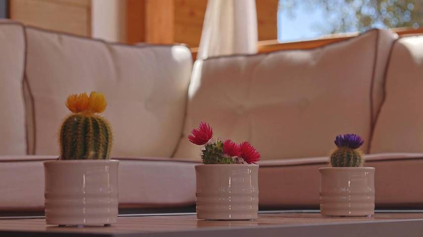 Camping für 8 Personen, mit Terrasse und Ausblick, kinderfreundlich auf Pag - 4