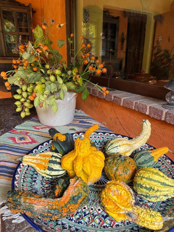 Gîte pour 3 personnes, avec jardin et vue, animaux acceptés à Boves