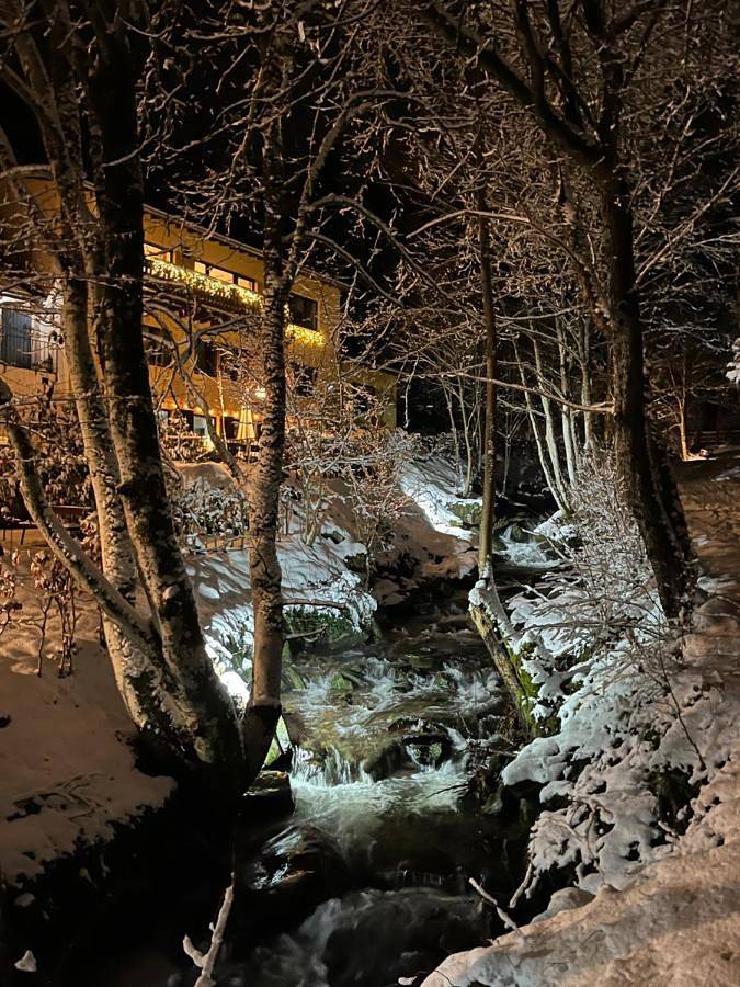 Maison d’hôte pour 19 personnes, avec vue ainsi que sauna et jardin à Montjoie (Eifel) - 3