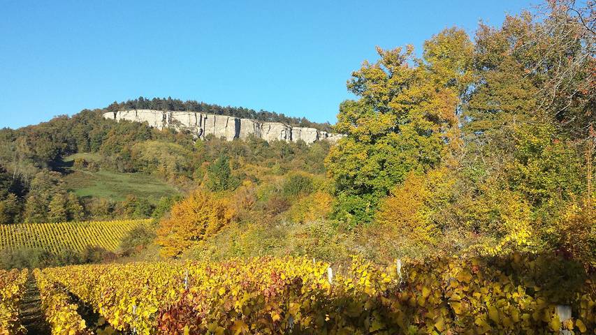 Gîte pour 6 personnes, avec jardin et terrasse dans Côte-d'Or - 2