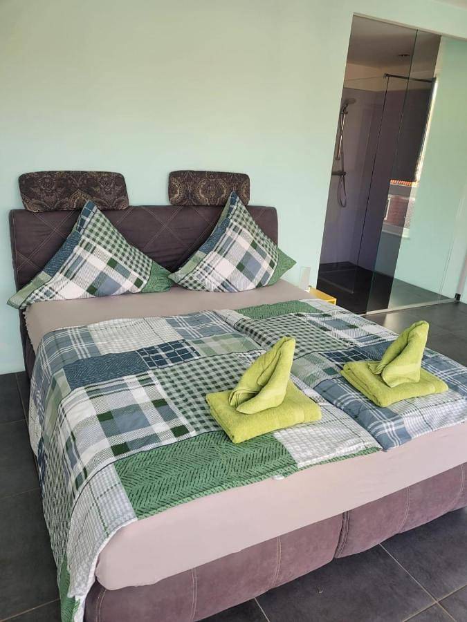 Gîte pour 6 personnes, avec terrasse et vue, animaux acceptés à Kaiserslautern - 3