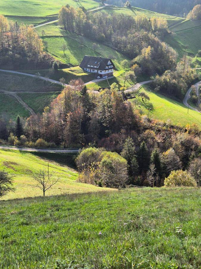 Ferienwohnung für 4 Personen, mit Balkon und Terrasse sowie Garten und Ausblick in Oppenau - 2