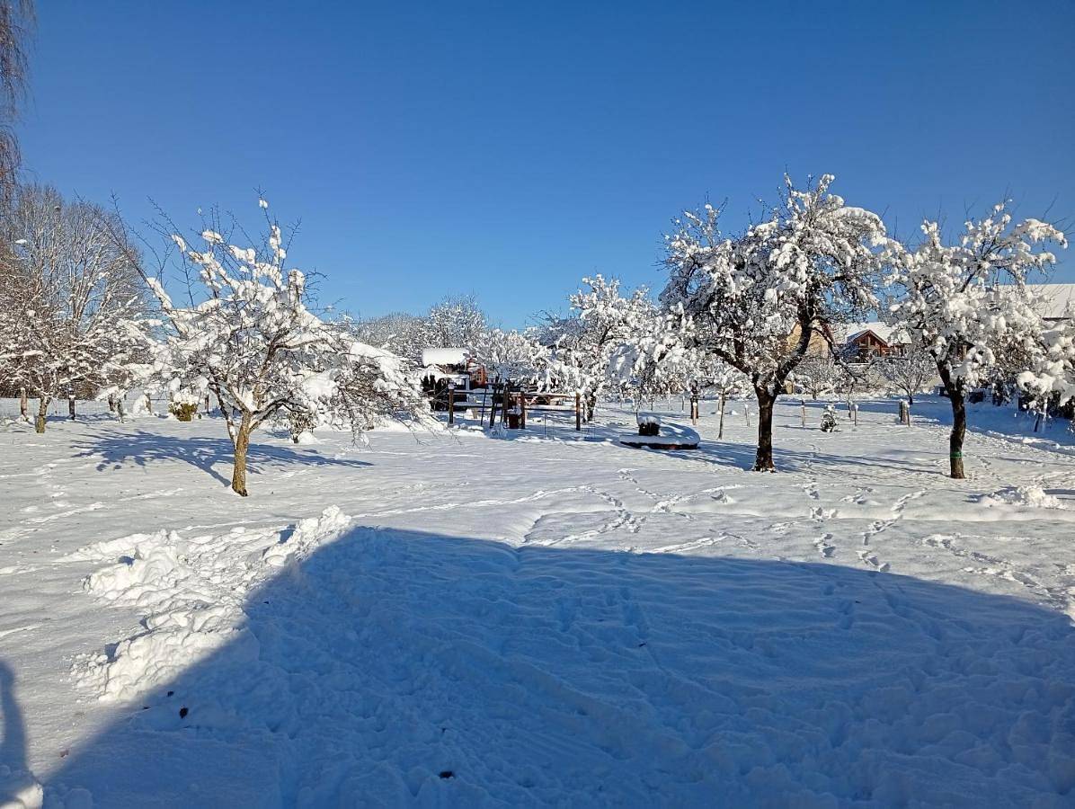 Roulotte viticole in Loulle, Jura Francais