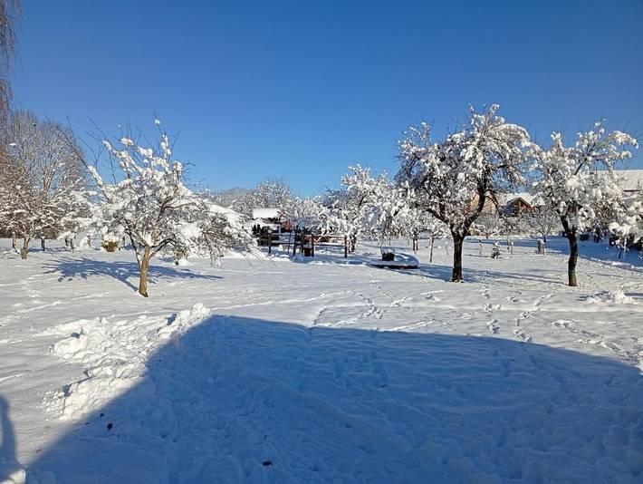 Tente pour 4 personnes, avec terrasse ainsi que jardin et vue dans le Jura - 2