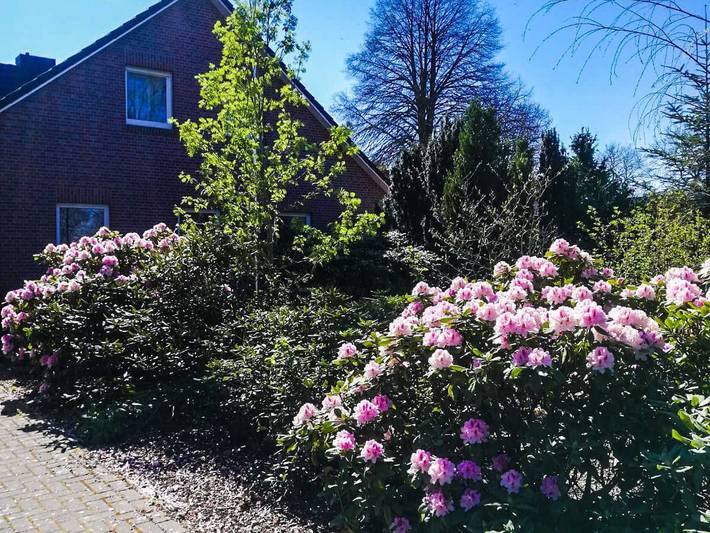 Ganze Ferienwohnung, Ferienwohnung Zum Bargefeld 35662 - Ferienwohnung Zum Bargefeld in Uplengen, Landkreis Leer