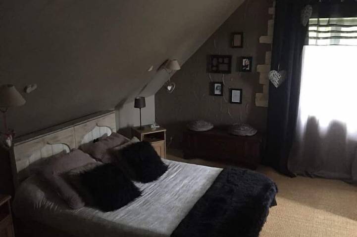 Location de vacances pour 8 personnes, avec jardin et jacuzzi à Torcé-en-Vallée - 3