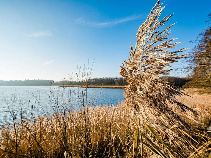 Exklusives Ferienhaus mit Sauna-Garten-See-Entertainment - Ferienhaus Am Schilf in Krakow am See, Mecklenburgische Seenplatte
