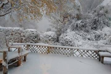 Cottage for 4 Guests in Otago, Picture 1