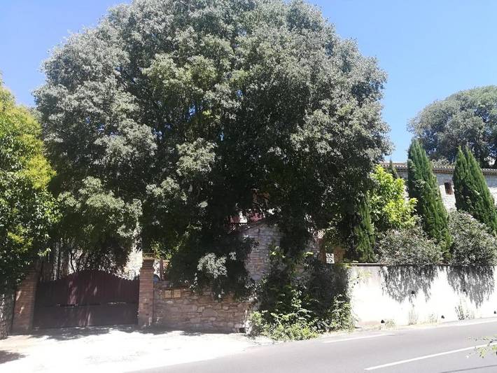 Location de vacances pour 8 personnes, avec vue et jardin à Ribaute-les-Tavernes - 4