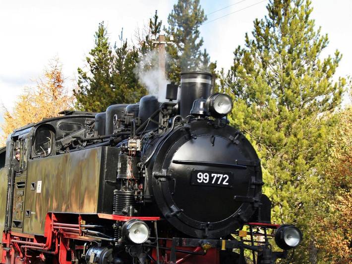 Hotel für 4 Personen, mit Terrasse in Sehmatal - 4