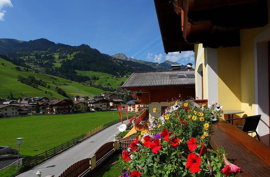 Ganze Ferienwohnung, Apartment "Saukarkopf" in Großarl, Ski Amadé