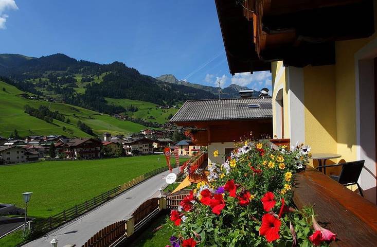 Ganze Ferienwohnung, Apartment "Saukarkopf" in Großarl, Ski Amadé