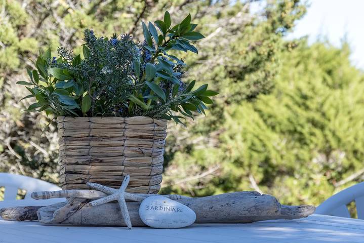 Sardinia Re - Villa Pelosa in La Pelosa, Stintino