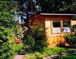 Komfortables Ferienhaus in Waren Müritz mit Terrasse und eingezäuntem Grundstück in Waren (Müritz), Lago Müritz