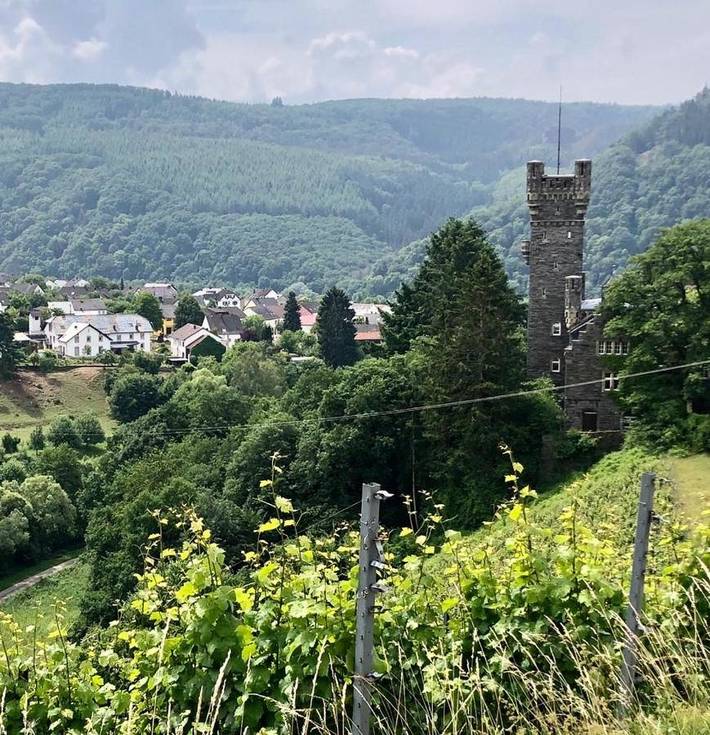 Ferienhaus für 2 Personen, mit Sauna und Ausblick sowie Garten in Saarburg und Umgebung - 2
