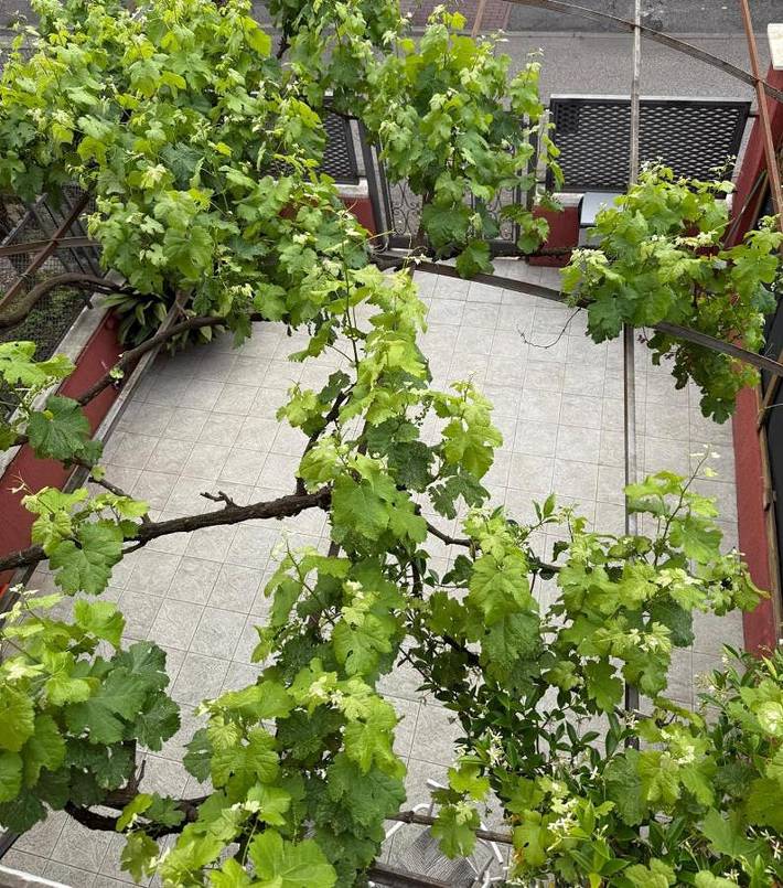 Maison d’hôte pour 2 personnes, avec jardin et terrasse à Vérone - 2