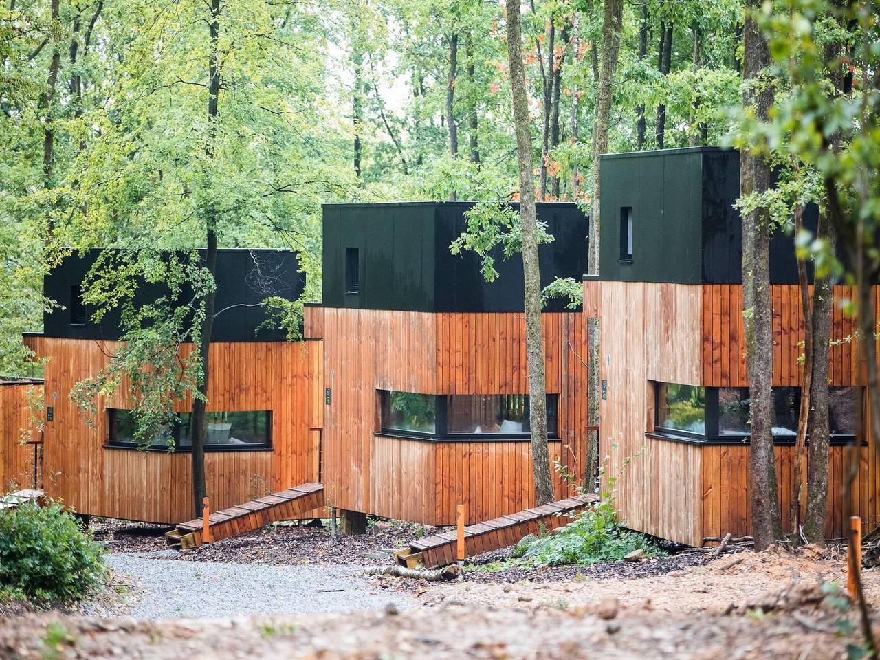 Eco holiday home in Viroinval in nature in Viroinval, Parc Naturel Viroin Hermeton