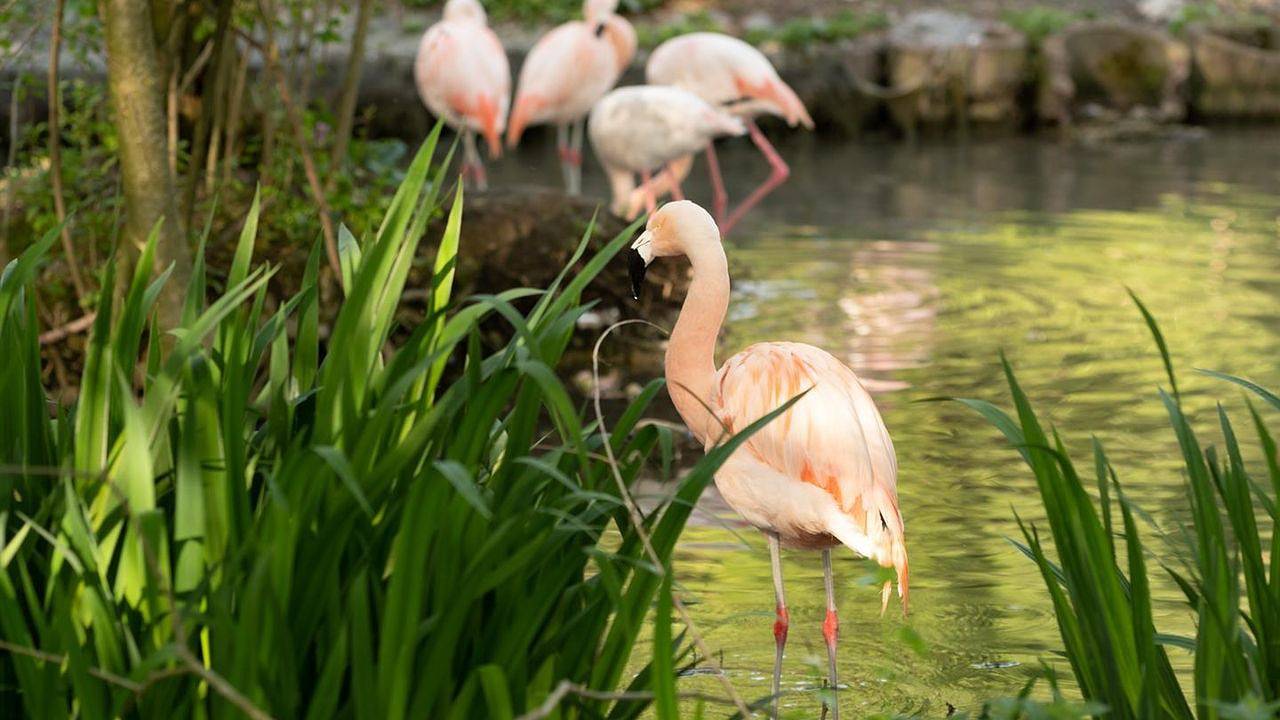 Appartement de vacances entier, Appartement de vacances pour 4 personnes in Salzbourg, Bundesland Salzburg