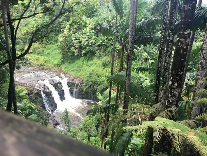 Vacation rental for 4 people, with yard and terrace on the Island of Hawaii