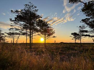 Ferienhaus für 4 Personen in Hou, Nordostjütland, Bild 3
