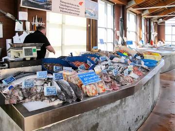 Villa for 2 People in Notre-Dame-des-Flots, Calvados, Photo 2