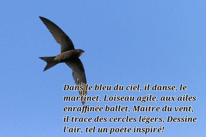 Gîte pour 2 personnes à Cipières - 3