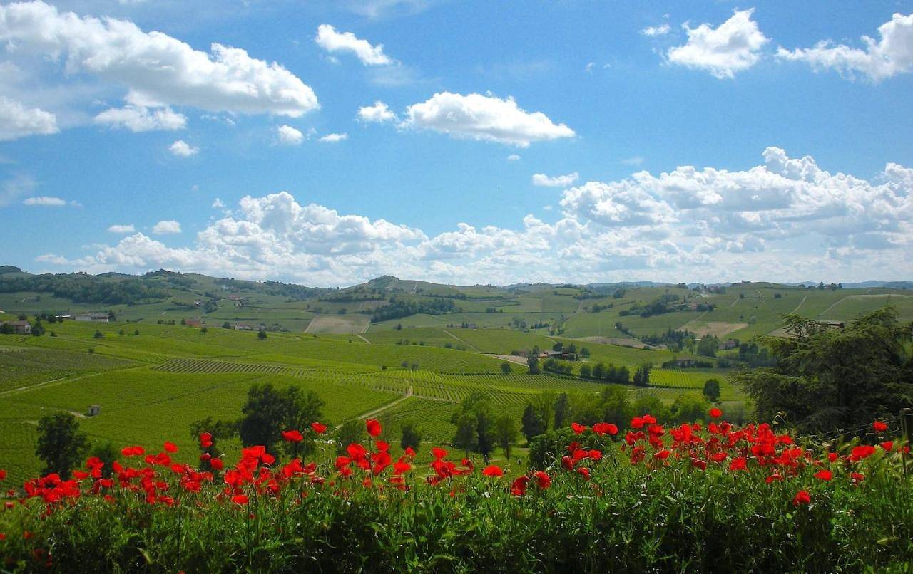 Cascina tra i vigneti a Nizza Monferrato in Nizza Monferrato, Provincia d'Asti
