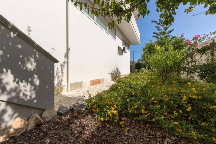 Chambre d’hôte pour 2 personnes, avec terrasse et jardin, animaux acceptés à San Pancrazio Salentino - 4