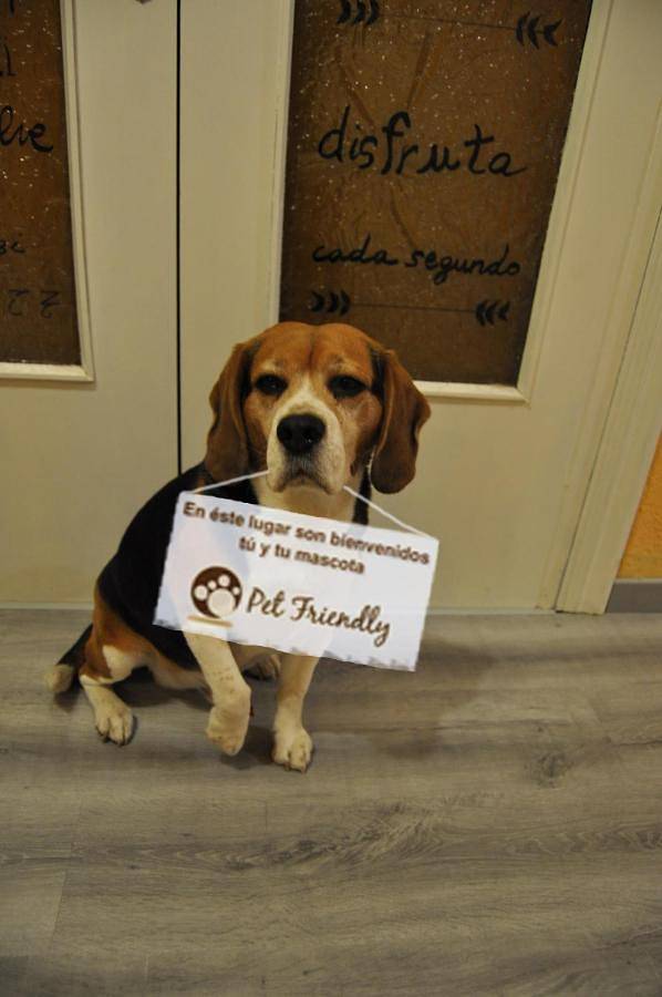Maison d’hôte pour 3 personnes, avec vue, animaux acceptés à Santander - 2