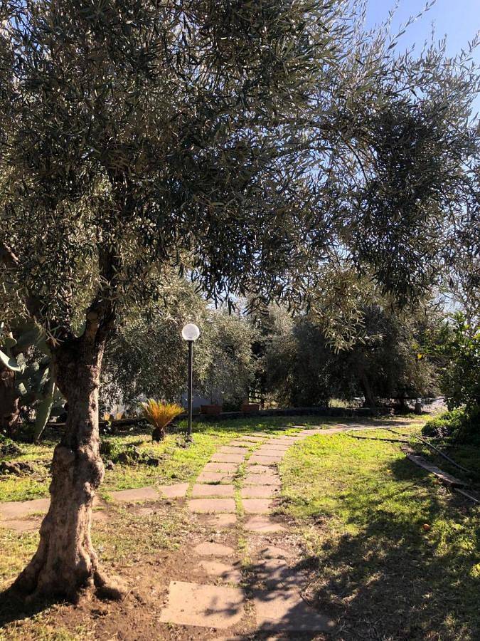 Casa Vacanza L'ulivo in Paternò, Catania e dintorni