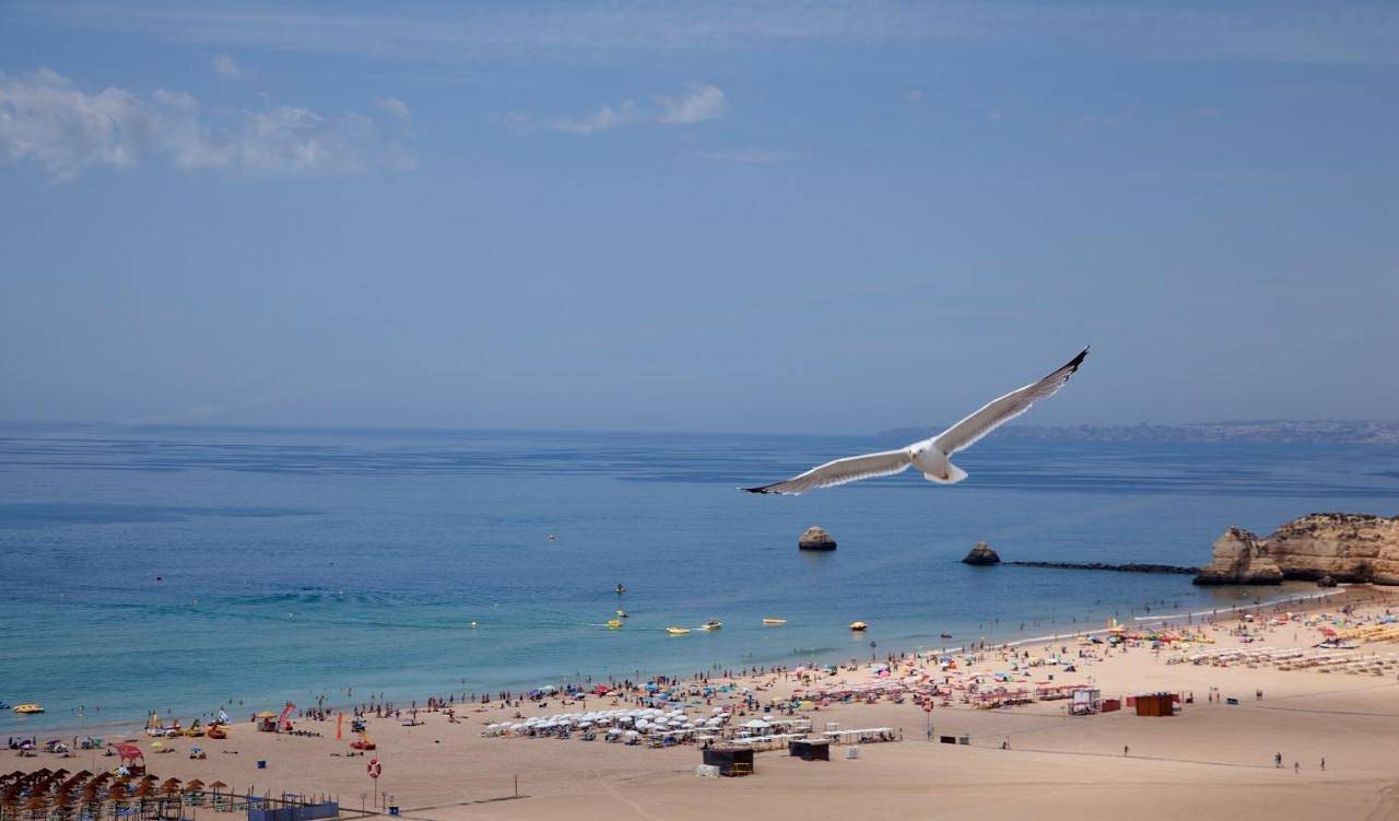 Aparthotel para 3 pessoas in Praia da Rocha, Portimão