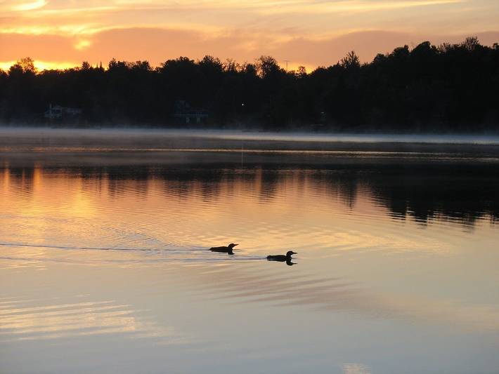 Chalet pour 8 personnes, avec jardin dans Mont-Tremblant - 4