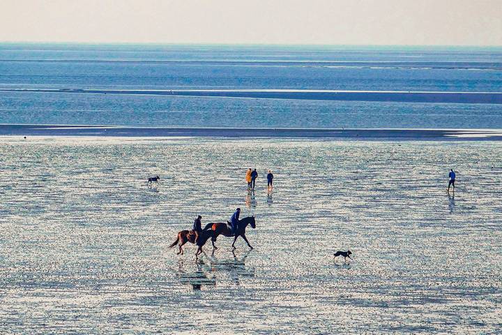 Ferienwohnung für 4 Personen, mit Sauna und Balkon sowie Balkon/Terrasse in Cuxhaven - 2