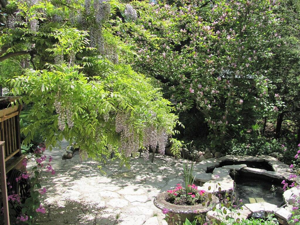 Adorable Cottage New Buffalo, Mi.Nr. In der Nähe von Grand Beach. 1 Schlafzimmer, Schlafmöglichkeiten für 5 in Berrien County