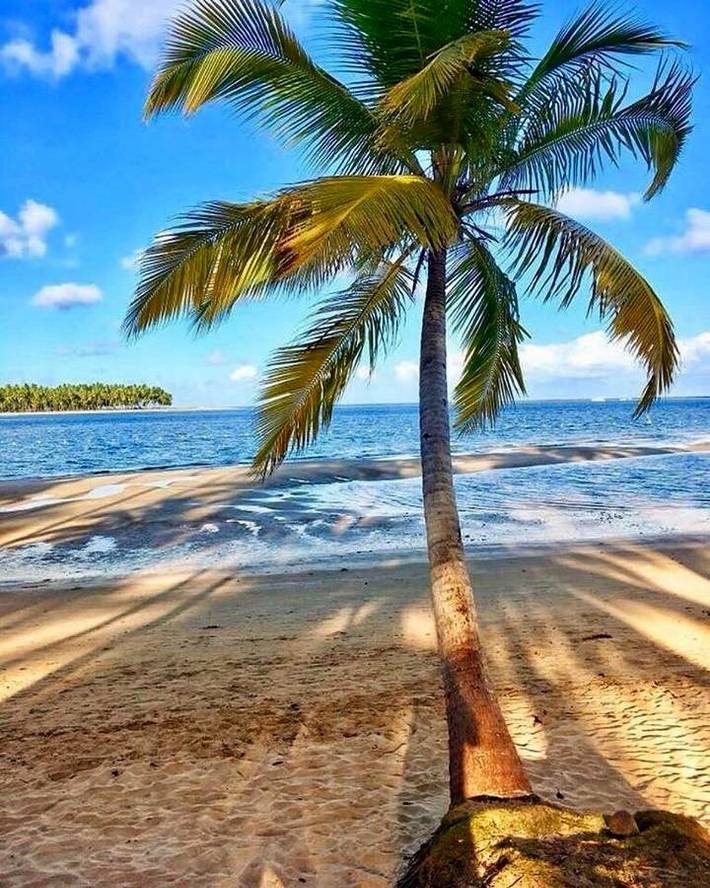 Casas e apartamentos de temporada para 5 pessoas, com vista e balcão e ainda jardim and piscina em Praia dos Carneiros