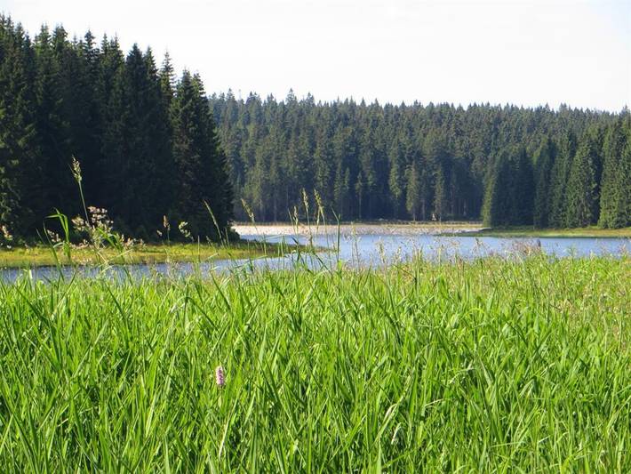 Zimmer für 2 Personen - 1